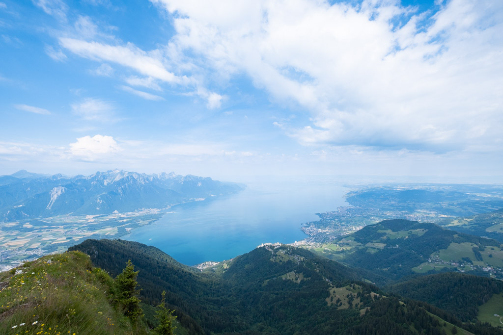 Via Alpina - Vue sur le Lac Léman