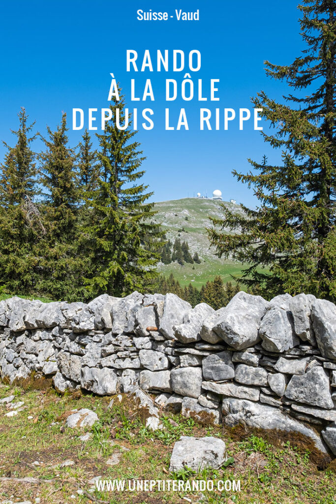 Pinterest - La Dôle depuis Vendôme (La Rippe)