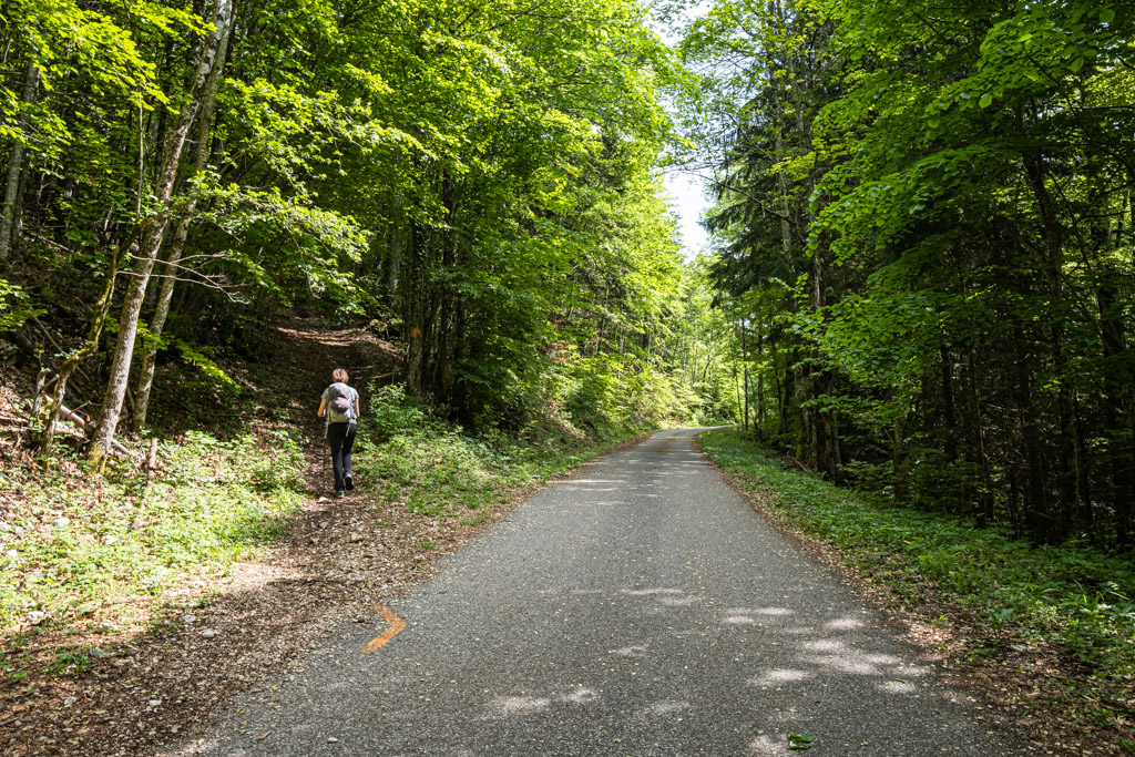 Sentier partant de la route avec une marque au sol pour nous indiquer le chemin