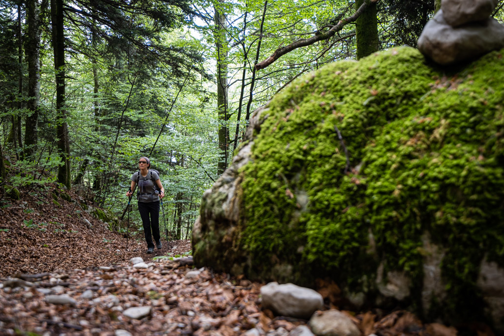 Dans la montée pour rejoindre la Dôle