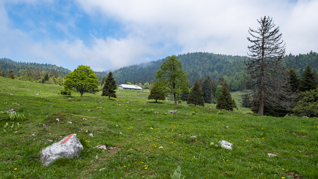 Une ferme dans la montée pour rejoindre la Dôle