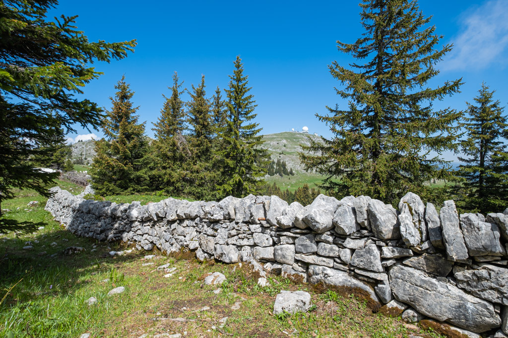 Derrière le serpent de pierres, « La Dôle » joue à cache-cache avec les sapins.