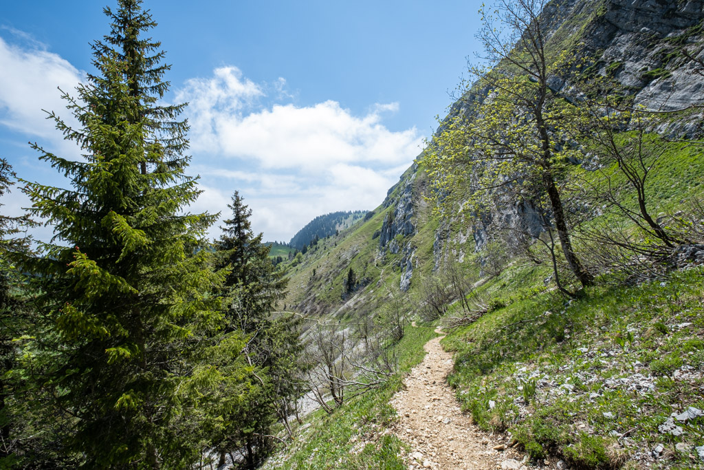 Dans la descente après le Col de la Porte