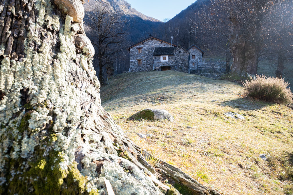 Un des nombreux « rustici » restauré.